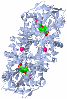 Image Biological Unit 1