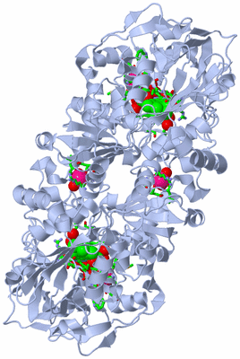 Image Biol. Unit 1 - sites