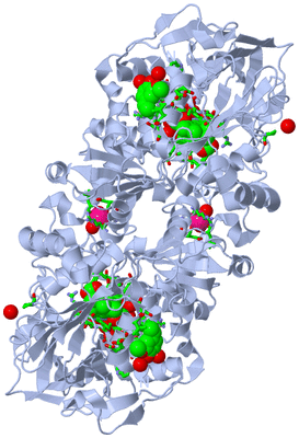 Image Biol. Unit 1 - sites