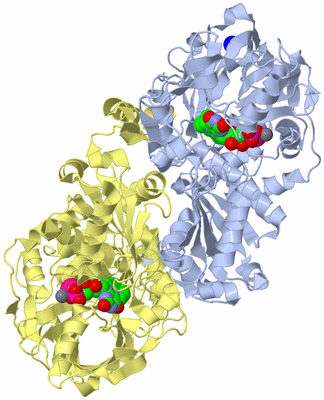 Image Biological Unit 1