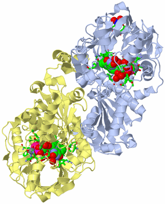 Image Biol. Unit 1 - sites