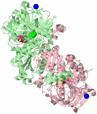 Image Biological Unit 2