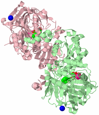 Image Biological Unit 3