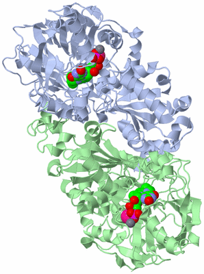 Image Asym./Biol. Unit