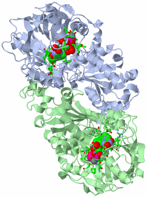 Image Asym./Biol. Unit - sites