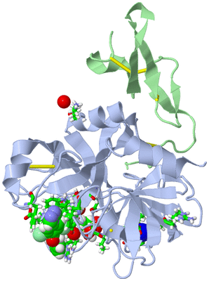 Image Asym./Biol. Unit - sites