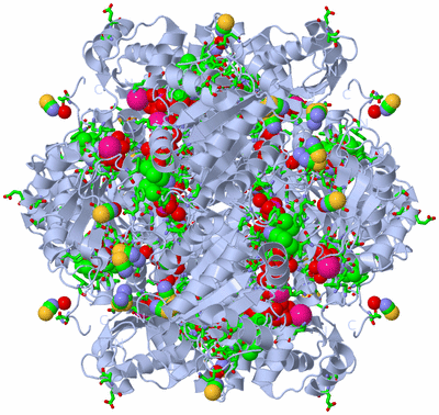 Image Biol. Unit 1 - sites