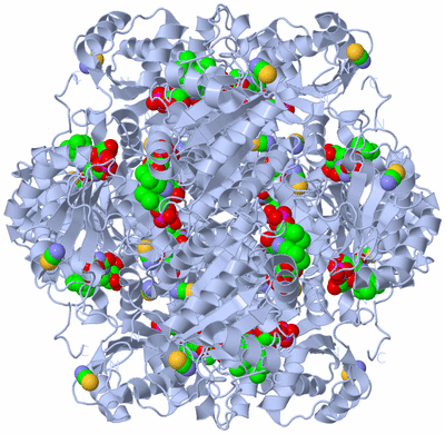 Image Biological Unit 1