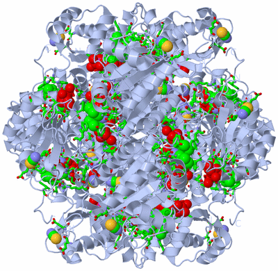 Image Biol. Unit 1 - sites