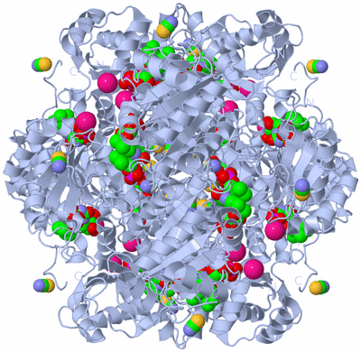 Image Biological Unit 1