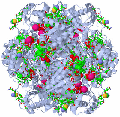 Image Biol. Unit 1 - sites