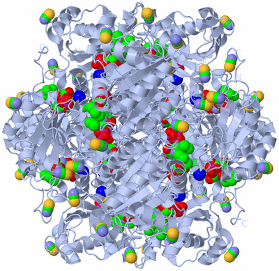 Image Biological Unit 1