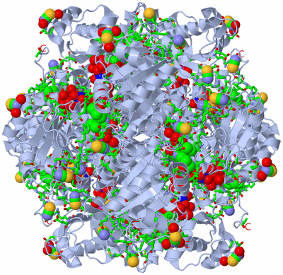 Image Biol. Unit 1 - sites