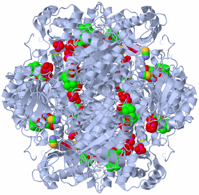 Image Biological Unit 1