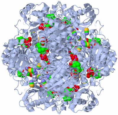 Image Biological Unit 1