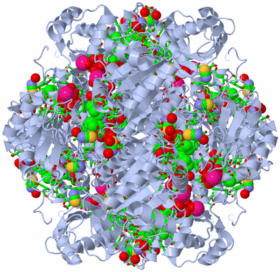 Image Biol. Unit 1 - sites