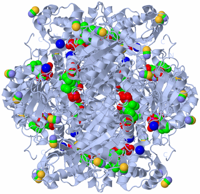 Image Biological Unit 1