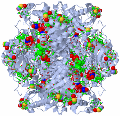 Image Biol. Unit 1 - sites