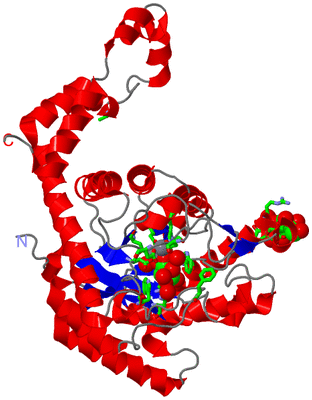 Image Asym. Unit - sites