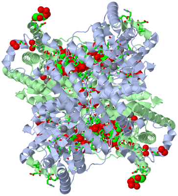 Image Biol. Unit 1 - sites