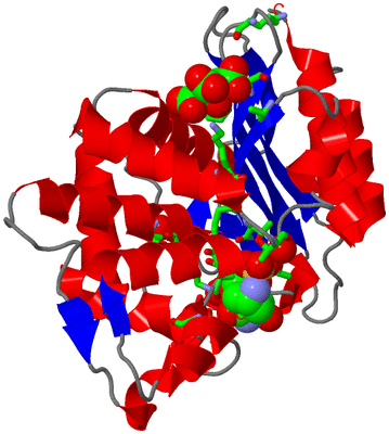 Image Asym./Biol. Unit - sites