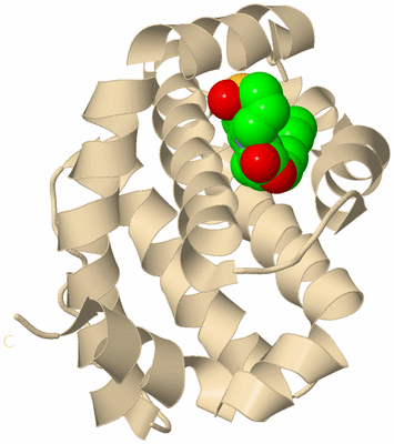 Image Biological Unit 10