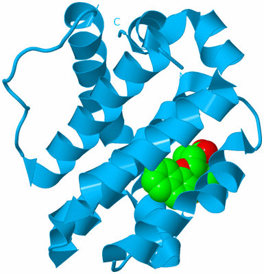 Image Biological Unit 11