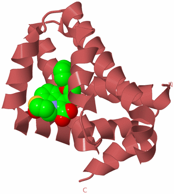 Image Biological Unit 12