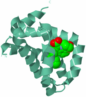 Image Biological Unit 13