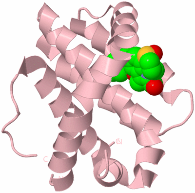 Image Biological Unit 3