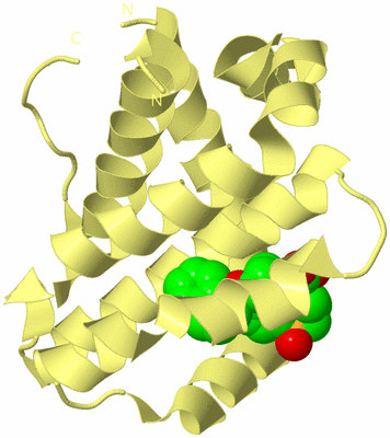 Image Biological Unit 4