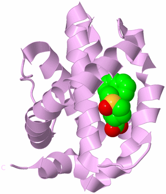 Image Biological Unit 5