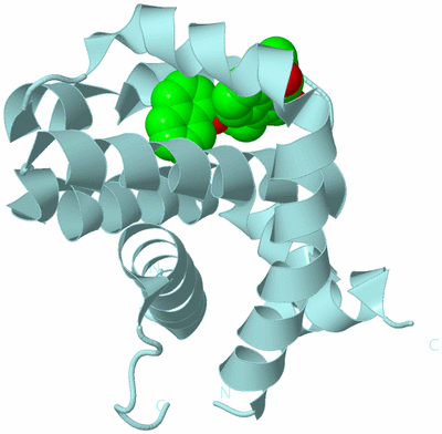 Image Biological Unit 7