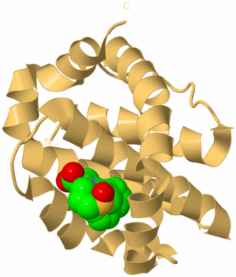 Image Biological Unit 8