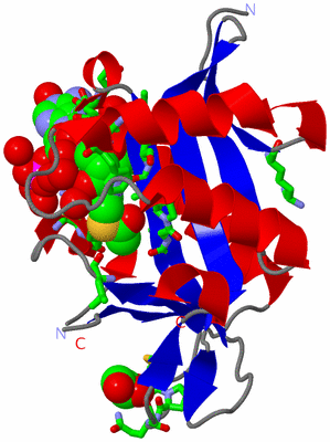 Image Asym./Biol. Unit - sites