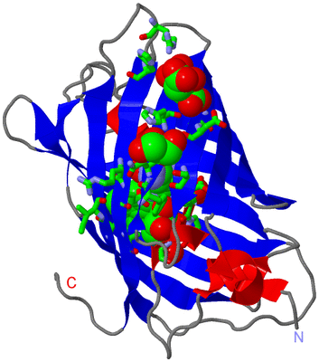 Image Asym./Biol. Unit - sites