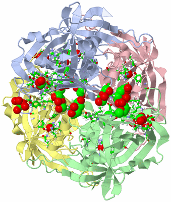 Image Asym./Biol. Unit - sites