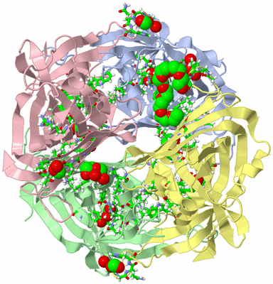 Image Asym./Biol. Unit - sites