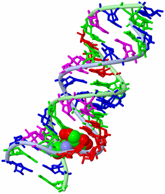 Image Biological Unit 1