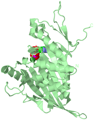 Image Biological Unit 2