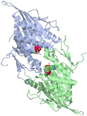 Image Biological Unit 3