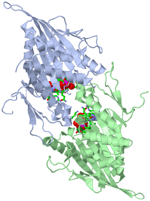 Image Asym. Unit - sites