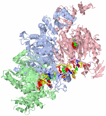 Image Asym./Biol. Unit