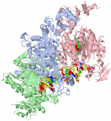 Image Asym./Biol. Unit - sites