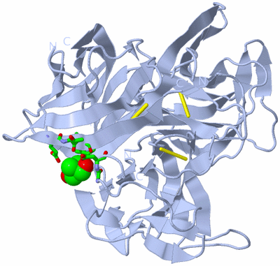 Image Biol. Unit 1 - sites