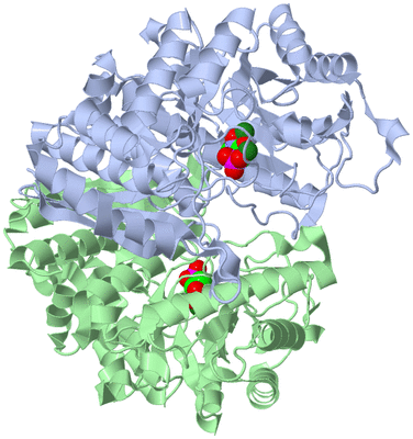 Image Asym./Biol. Unit