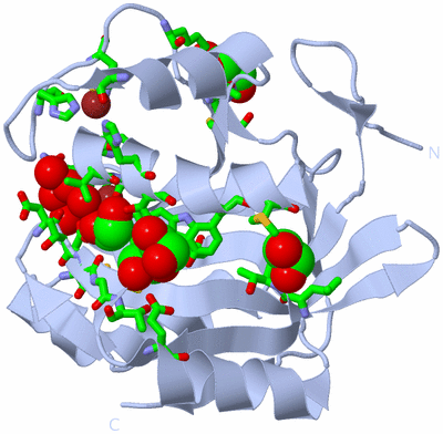 Image Biol. Unit 1 - sites