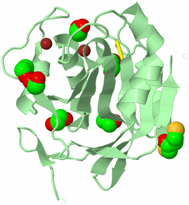 Image Biological Unit 2