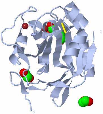 Image Biological Unit 1