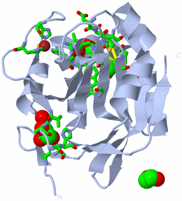 Image Biol. Unit 1 - sites